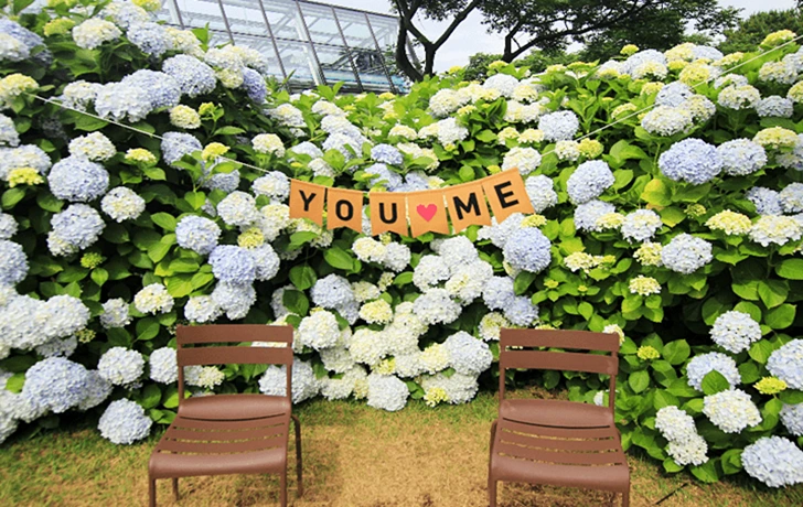 99AD244B6004DEA3087427