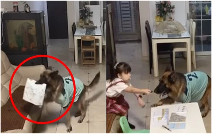 99F21B3D5F6BFC5F188B84