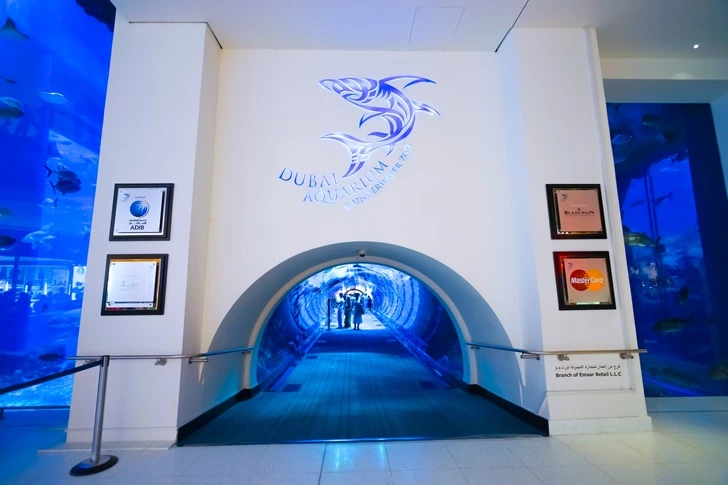 99BE40445F700DD721668A