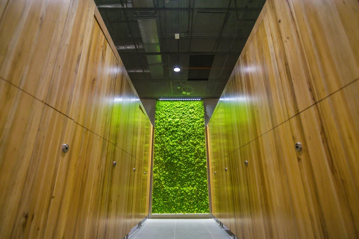 996503385E6C11941343AC