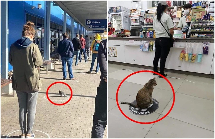 997E61455E9B9CA321E1A2