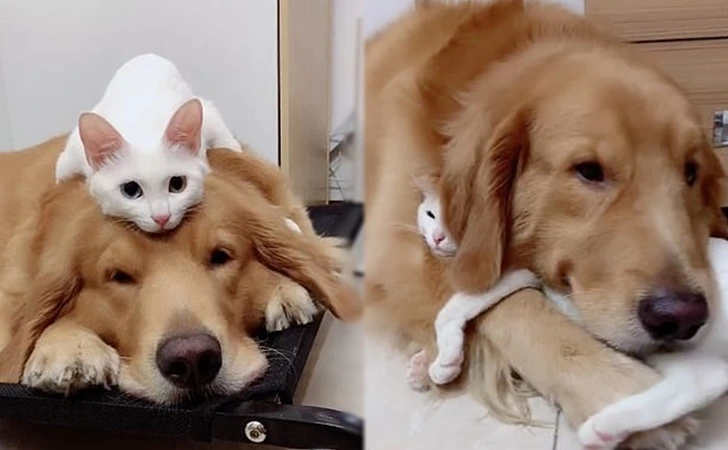 998EF1455FD5A4401AB8A5