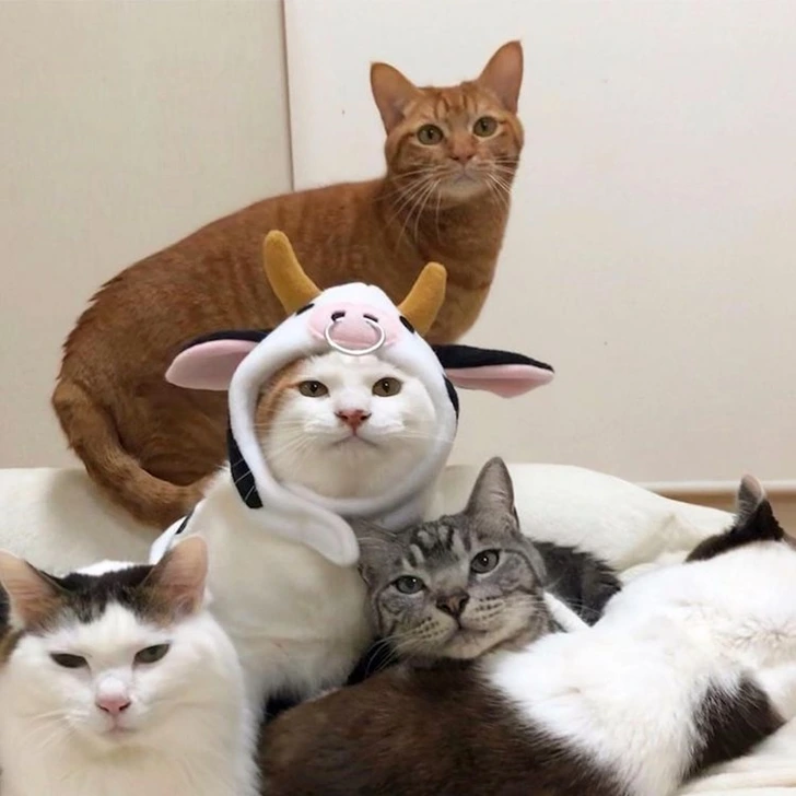 996FC048601757BB0BC9C4