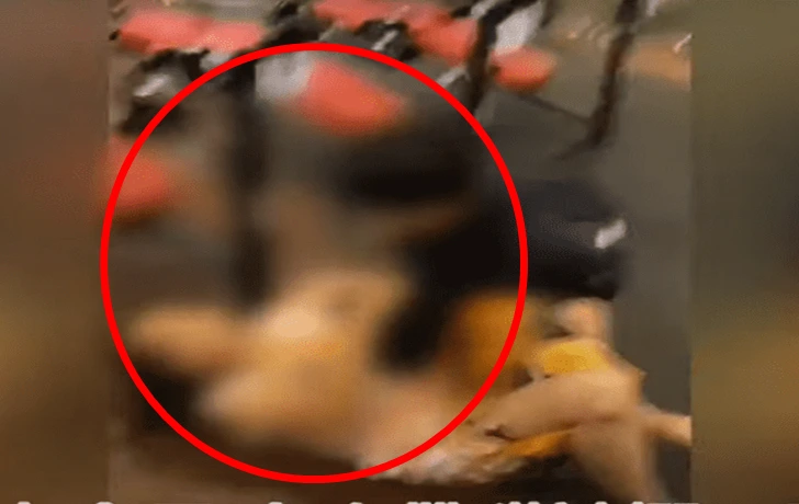 99AF823E5F5C0D4513BE8E