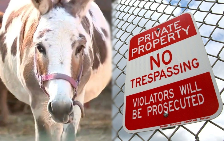 99EC13455F7BA83D14BC4A