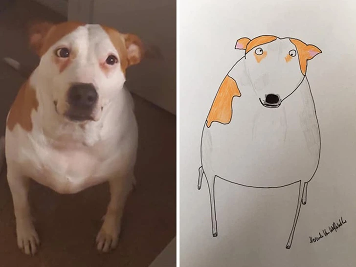 99CAA0395F9271060B3DCD