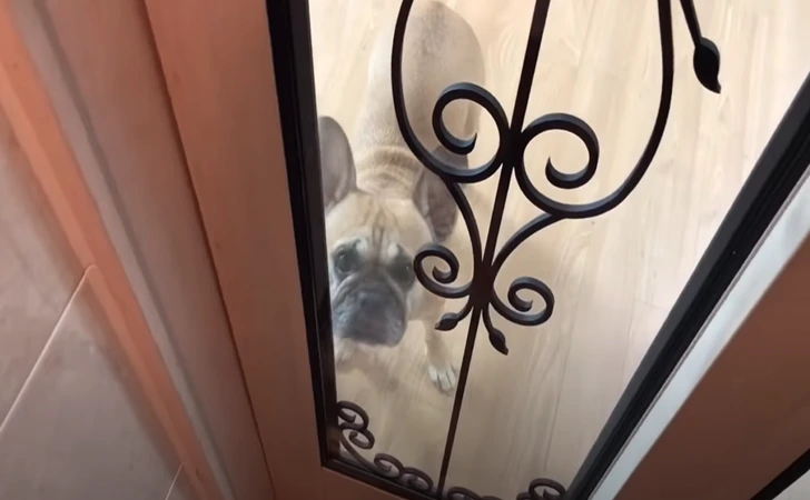 995F30485FF249990BE985