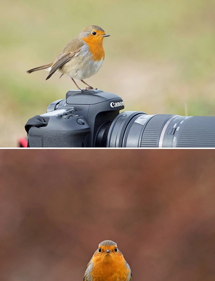 9961283B5FF655F6071F21