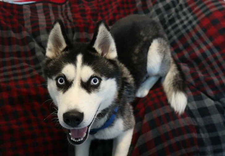 995B1B505FDD76CA16B660