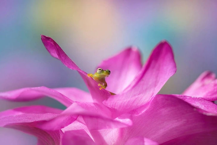 99626D505F3B9E1307CAD6