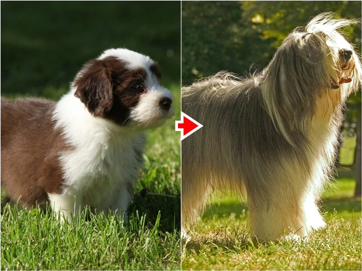 997DD9335F71ABFB1EE100