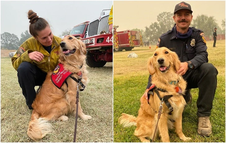 998E6C4A5F64305B3A8263