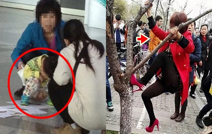 9911DC375FD1724515CE87