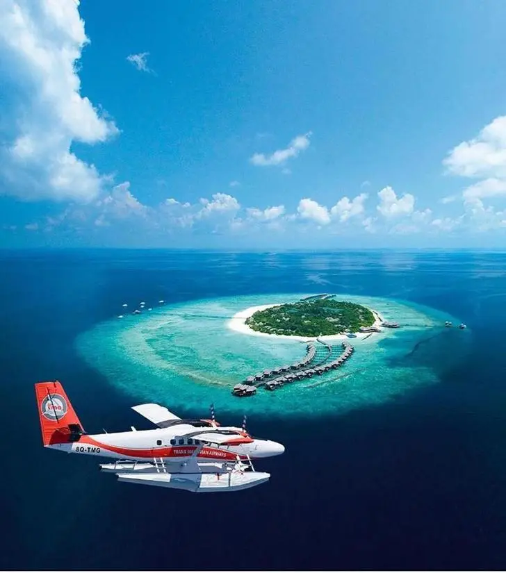 99EC55395C41B80115E7F7