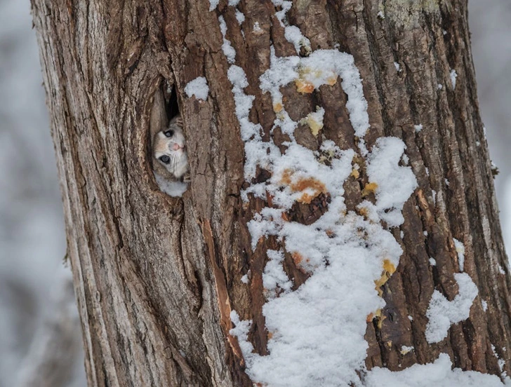 99D9A44A5F4F08CE295BA9