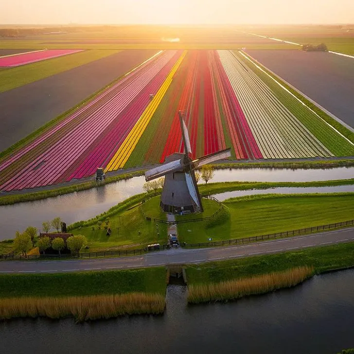 997D37445CD006D32D749B