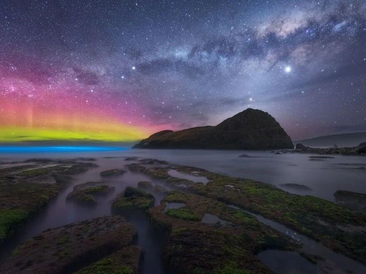 999934455FDC37F51C5978