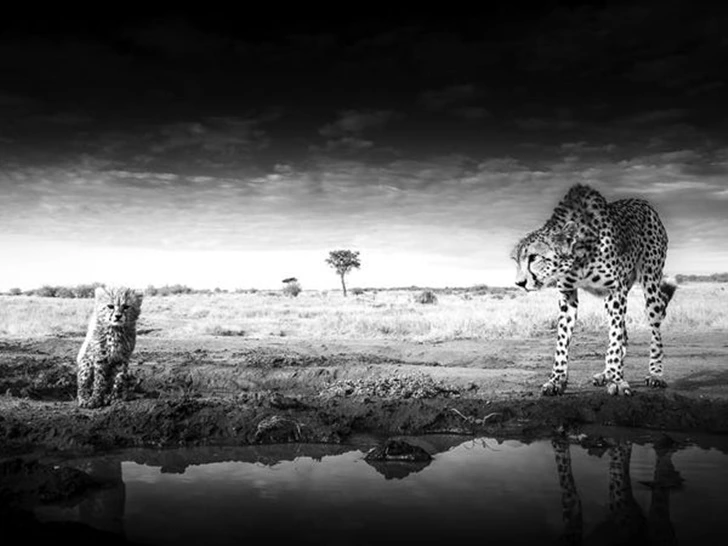 99490F485F7A97152F3312