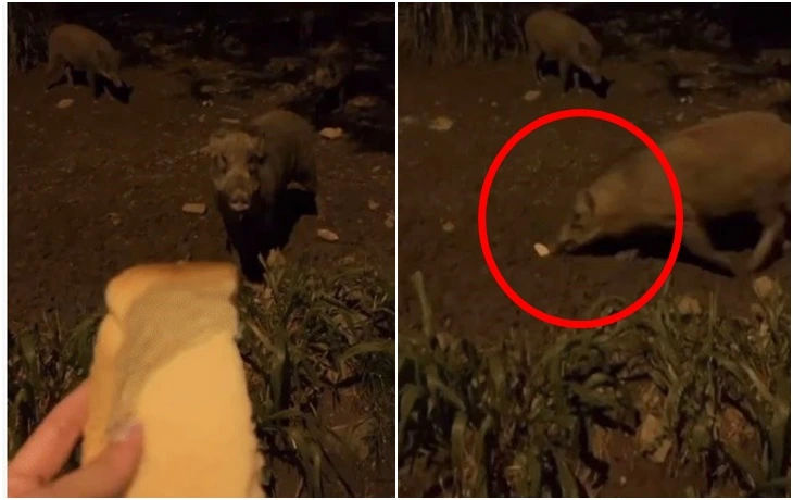 9960E2455F6BF13C156696