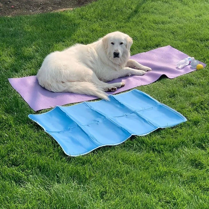 99A9FD405F768A4A11017A