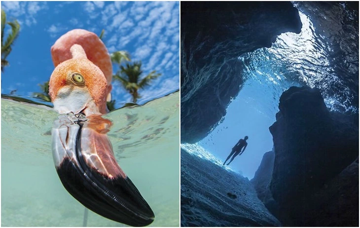 9971A33E5F6A77AC0B685A