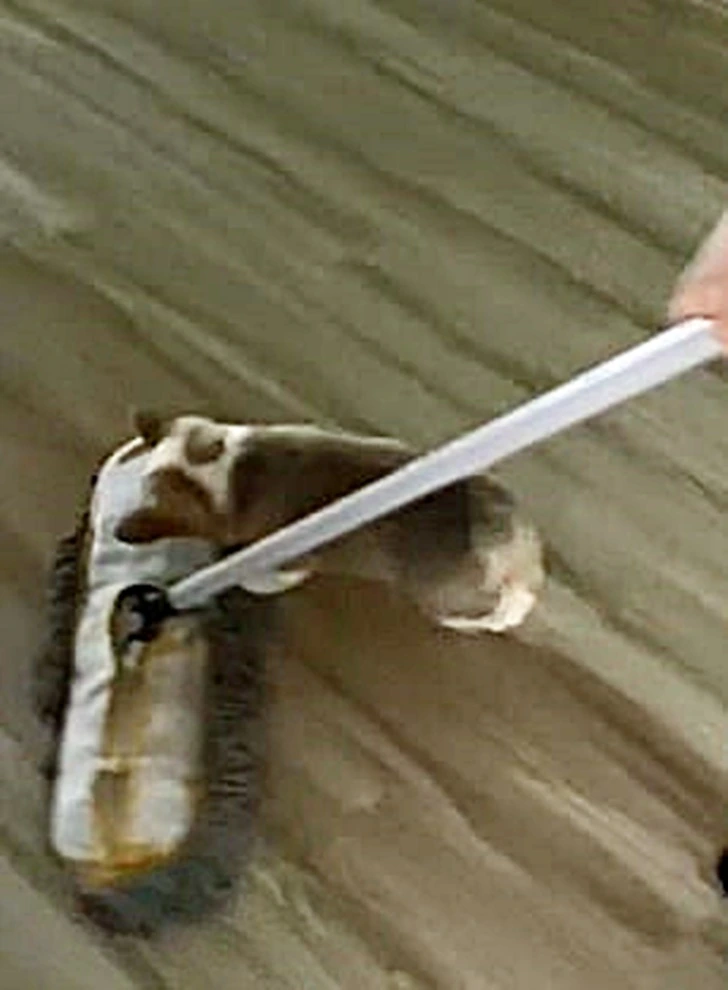 99AE9E3B5FF7970C021850