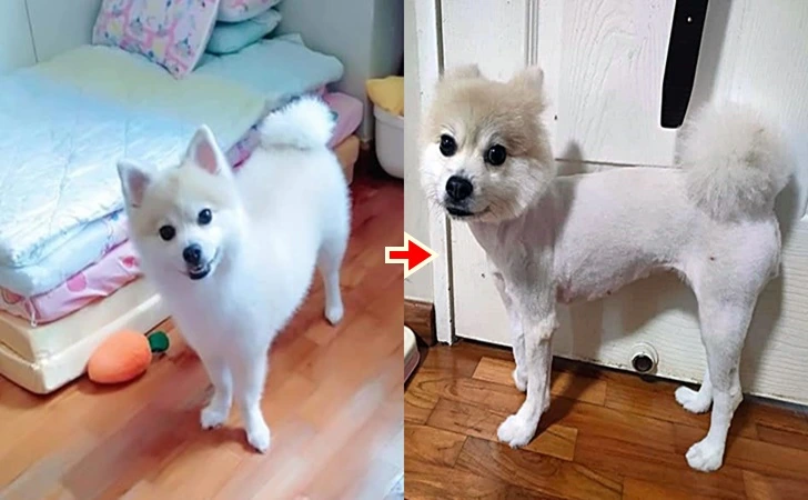 99550B4F5FFD3A16123407