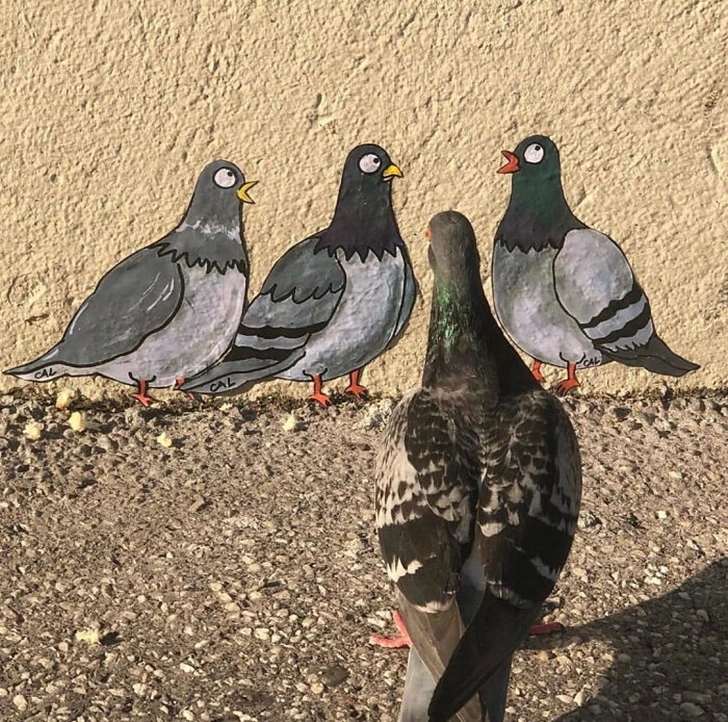 997A533C5FBD051F094548