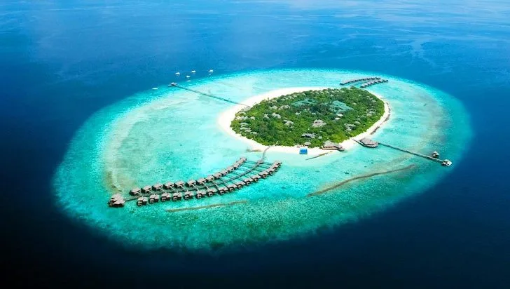 99AF234E5DB02F9F29A369