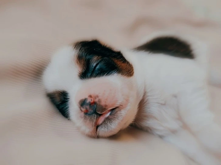 991BE74D5F6A7239098D94