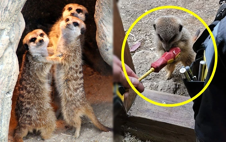 999577415FAF74B21EECB6