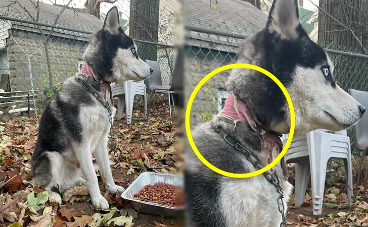 9929124B5FDD76CA17B445