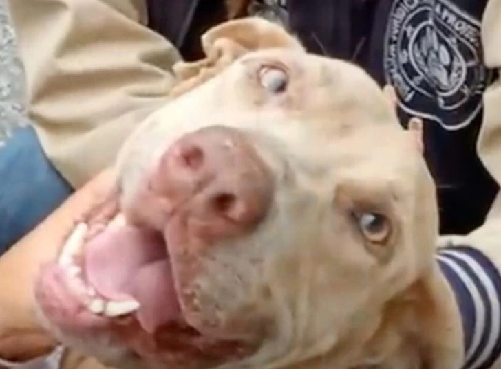 99A716445FC204D8216754