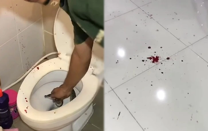 993F59505F634A701626C7