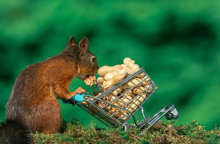 995DD33B5F44CA621F49D7