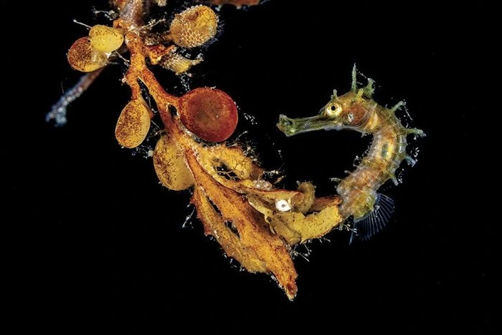 99649D445F6A758F0B1BA1