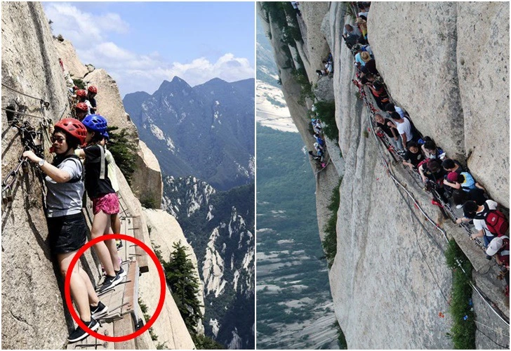 99E9633B5DCFA4CC35869A