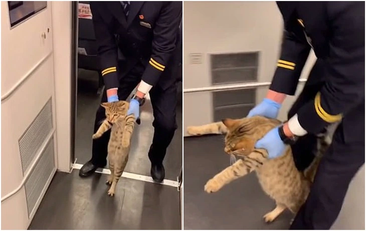 991ABF4D5FCC354E0B427B