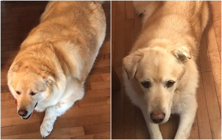 9903A5495F3BAB5D164DA3