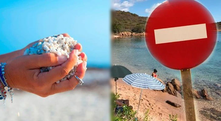 99D26E385D5CB4C1176A6C