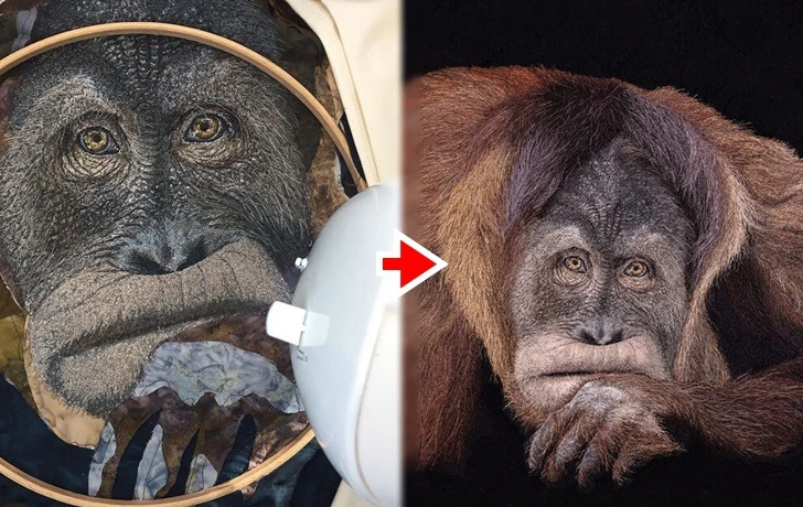 9989D9485F1FC5DD2CB948