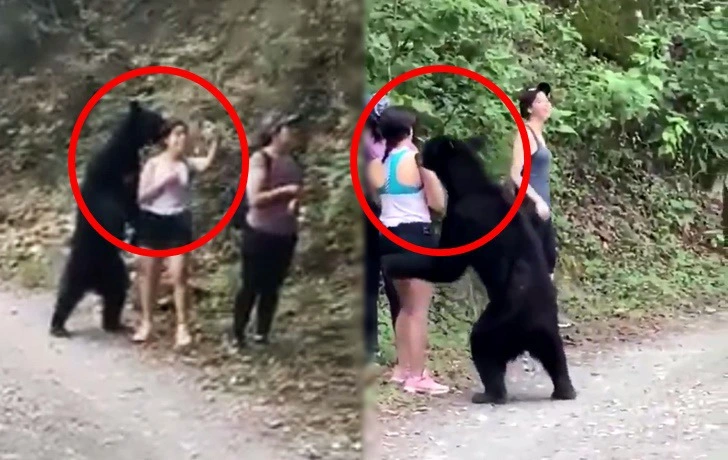 99306F3D5F15369C343F59