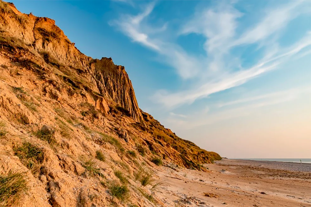 99FE6C355F51CF05059424