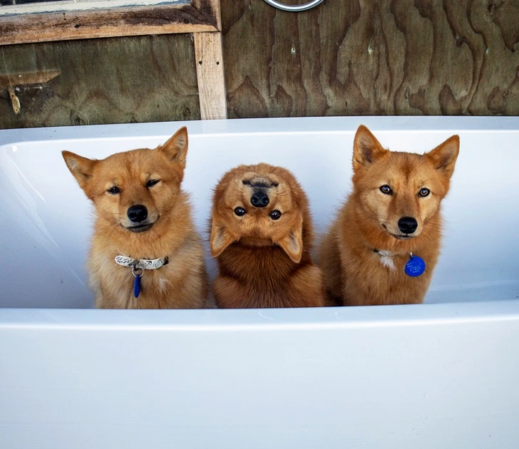 9991A6375FF1473A18E304