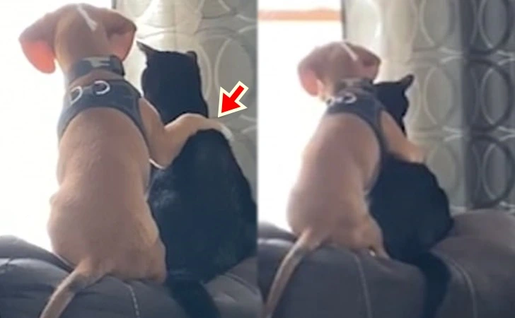 99F2874F5FD8099B0A72F2