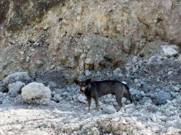 990649466016428608E798