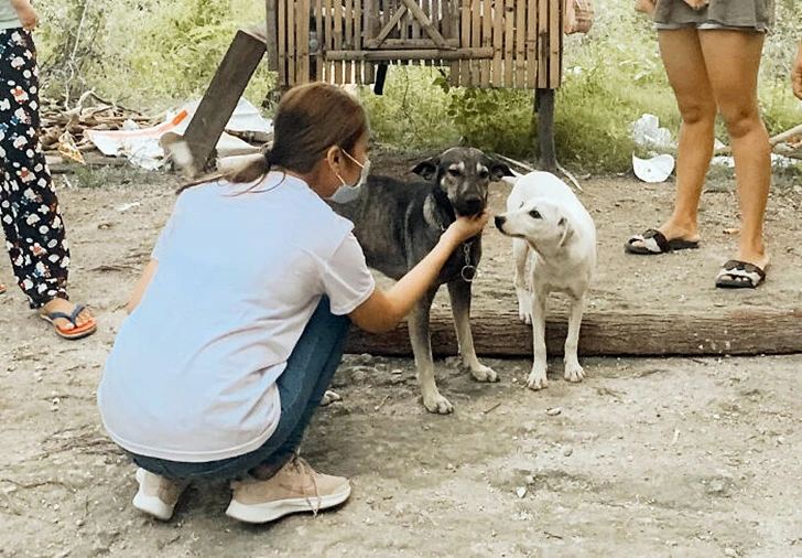 991BF6356016428607B9C5