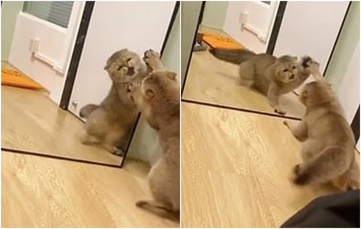 99898C415FCEE410104A11