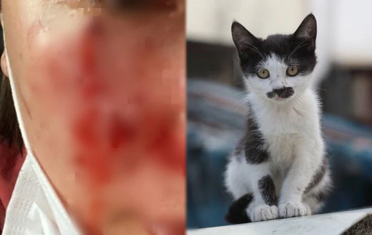 991073425F3E33722EE810