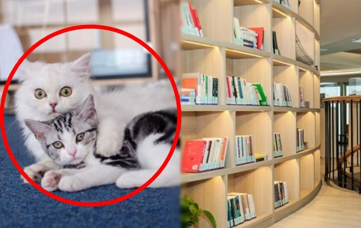 99D105435F3A6E750BE54F